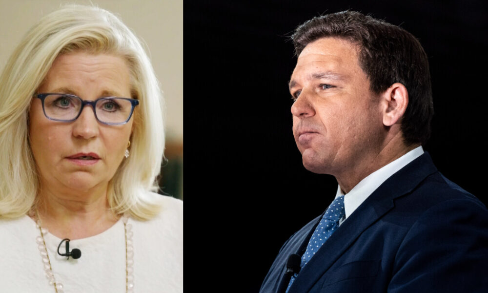 Cheney Takes Shot at DeSantis, Admits She Likes Working With Democrats More Than Republicans