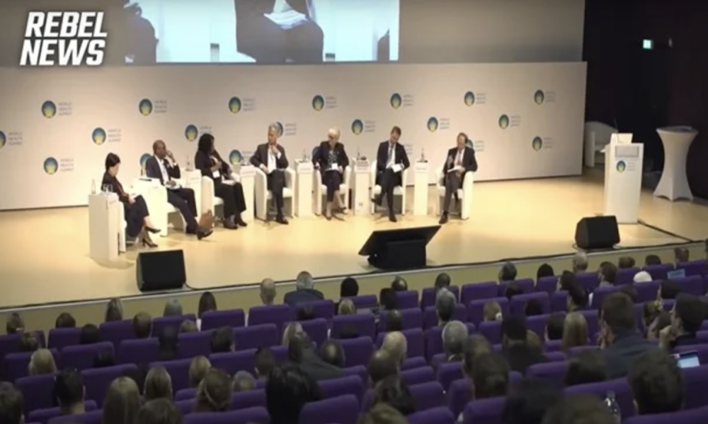 THEY LIED TO US: World Health Summit Member Admits COVID Lockdowns Were Political Not Scientific (VIDEO)￼